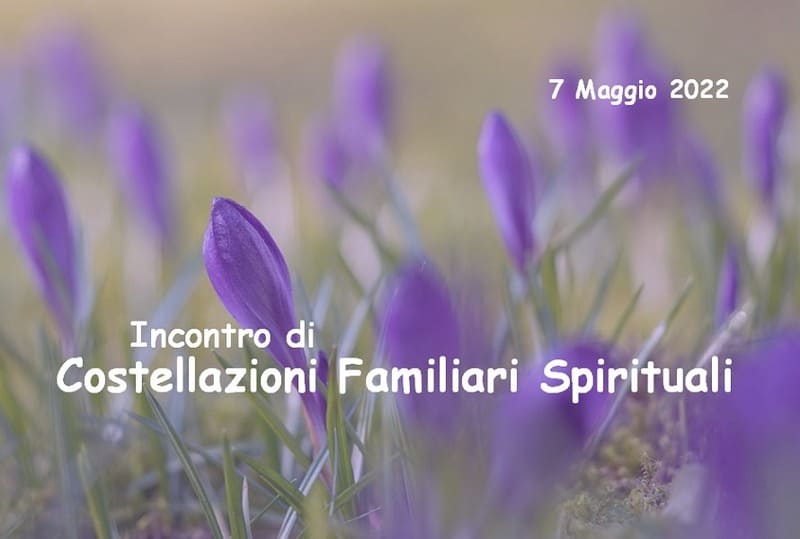 Incontro di Costellazioni Familiari paola cazzaro le vie dell'essenza